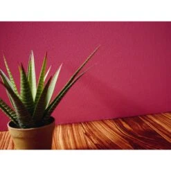 A.S. Creation Meistervlies | 306616 | Papier Peint Intissé Enduit | 0.53 M X 10.05 M | Blanc -Décoration Intérieur 306616 4