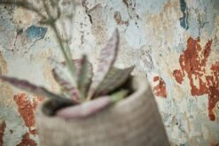 A.S. Creation Metropolitan Stories 2 | 379541 | Papier Peint Intissé Vintage | Gris -Décoration Intérieur 379541 9