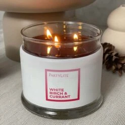 Pot à Bougie 3 Mèches White Birch & Currant -Décoration Intérieur 3 fh23 social g73h2076 g