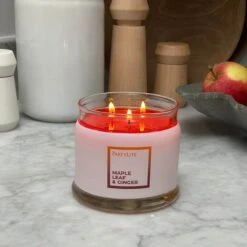 Pot à Bougie 3 Mèches Maple Leaf & Ginger -Décoration Intérieur 3 fh23 social g73h2077 f