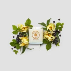 Pot à Bougie Brighter World™ Ylang Ylang Black Currant -Décoration Intérieur 3 fh23 ylang ylang black currant g105315 a