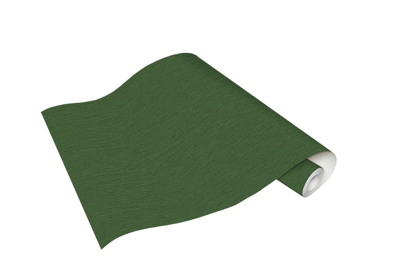 Erismann Paradisio | 6307-36 | Papier Peint Intissé Uni | 0.53 M X 10.05 M | Vert 1 Erismann Paradisio | 6307-36 | Papier Peint Intissé Uni | 0.53 M X 10.05 M | Vert