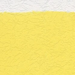 A.S. Creation Meistervlies | 927910 | Papier Peint Intissé Enduit | 1.06 M X 25 M | Blanc 8 A.S. Creation Meistervlies | 927910 | Papier Peint Intissé Enduit | 1.06 M X 25 M | Blanc -Décoration Intérieur 927910 6