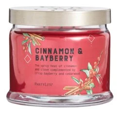 Pot à Bougie 3 Mèches Cinnamon & Bayberry