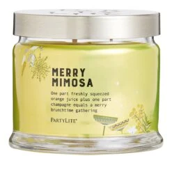 Pot à Bougie 3 Mèches Merry Mimosa