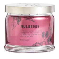 Pot à Bougie 3 Mèches Mulberry