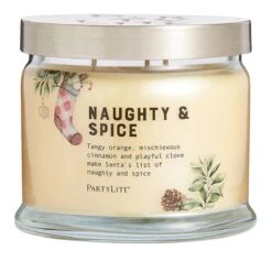 Pot à Bougie 3 Mèches Naughty & Spice
