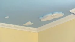 Rosace Moderne Wiesemann "nuage Géant" | 550 X 10 X 1000 Mm | Polystyrène Léger Blanc