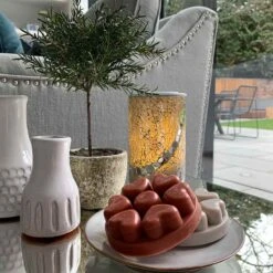 Galets Cœur Scent Plus® Cinnamon Woods 5 Galets Cœur Scent Plus® Cinnamon Woods -Décoration Intérieur sm21 social p93645 sh1097 sh946 g 1