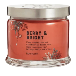 Pot à Bougie 3 Mèches Berry & Bright