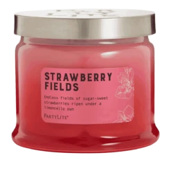 Pot à Bougie 3 Mèches Strawberry Fields