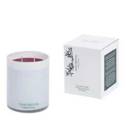 Pot à Bougie Forest Bathing Black Forest Fruit