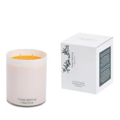 Pot à Bougie Forest Bathing Lush Jungle Citrus